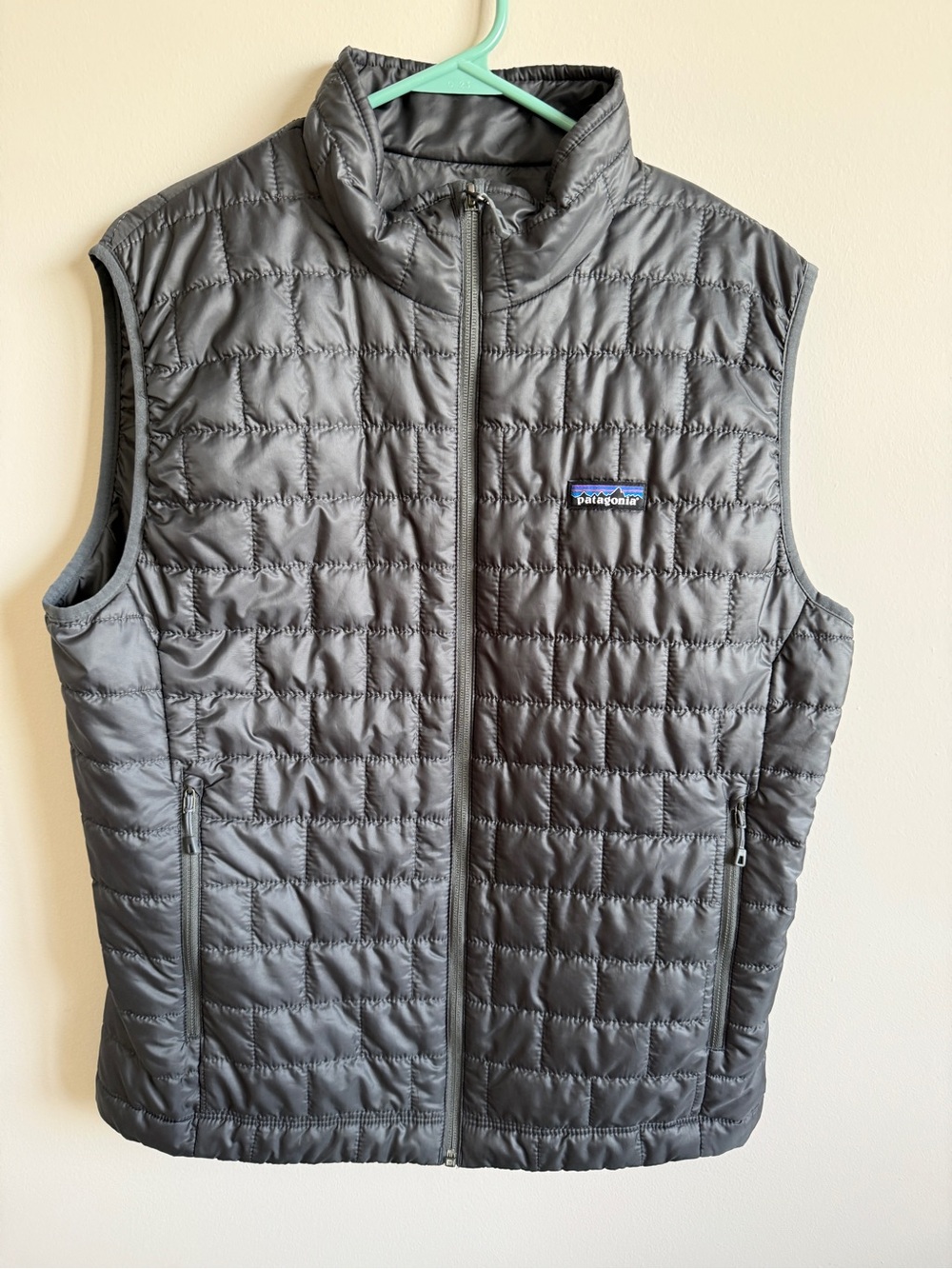 Patagonia Men's Gray Down Vest